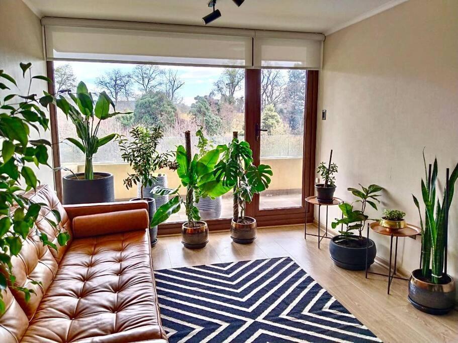 Departamento Frente Al Apartamento Villarrica