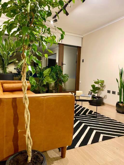 Apartamento Departamento Frente Al