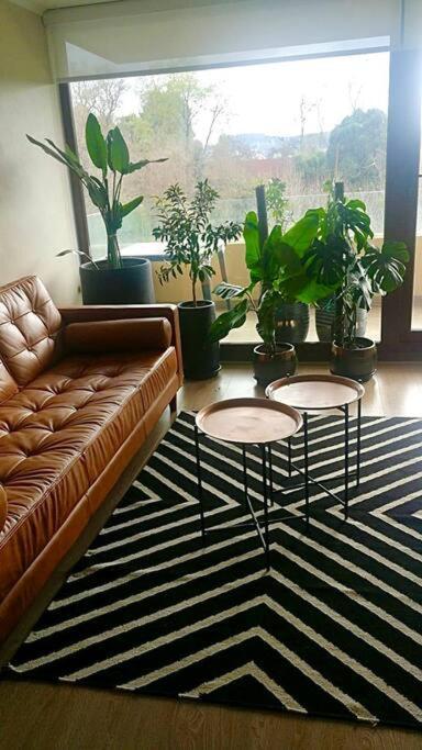 Departamento Frente Al Apartamento *