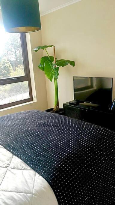 Apartamento Departamento Frente Al Villarrica