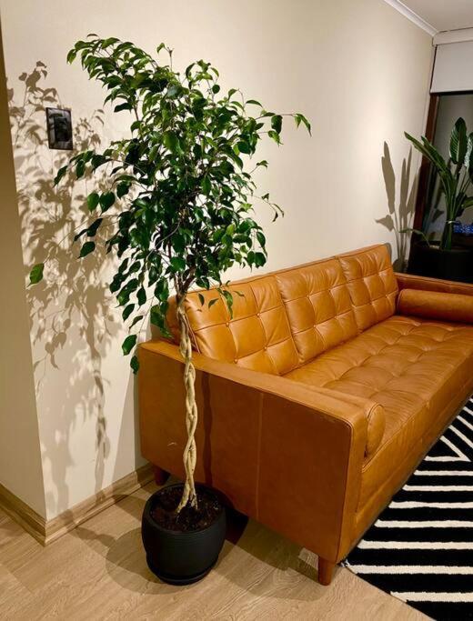 Apartamento Departamento Frente Al *